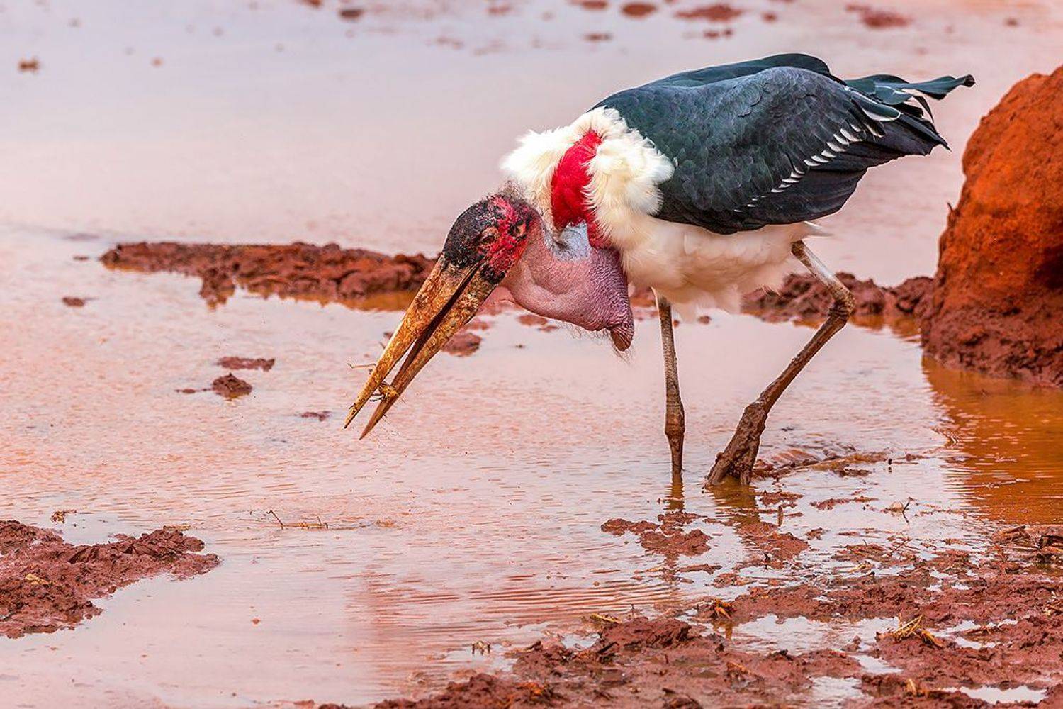 , Сергей Савви