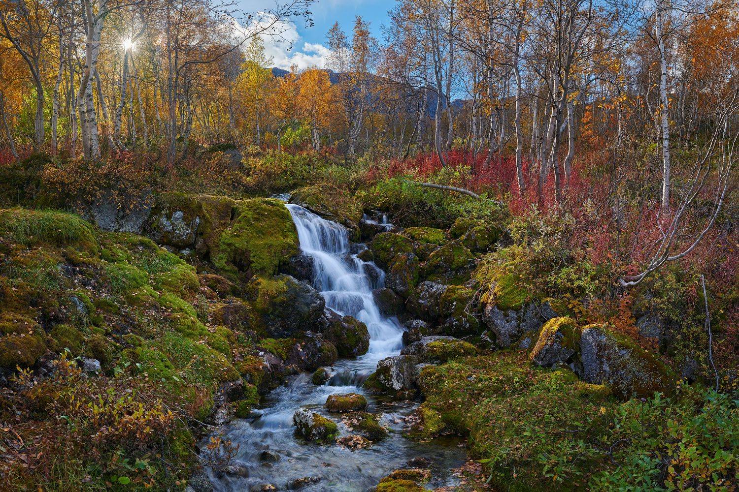 , Konstantin Voronov