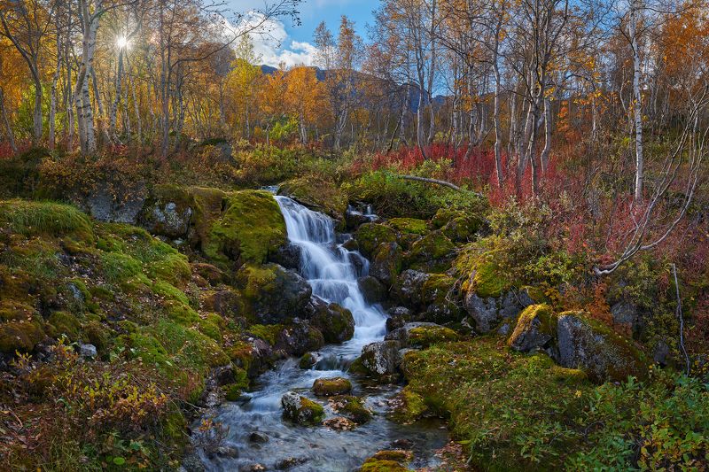 Краски северной осени фото превью