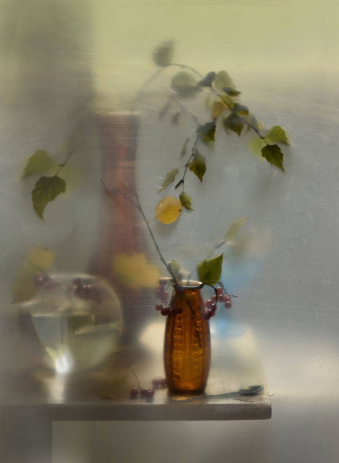 , Шипунова Ирина