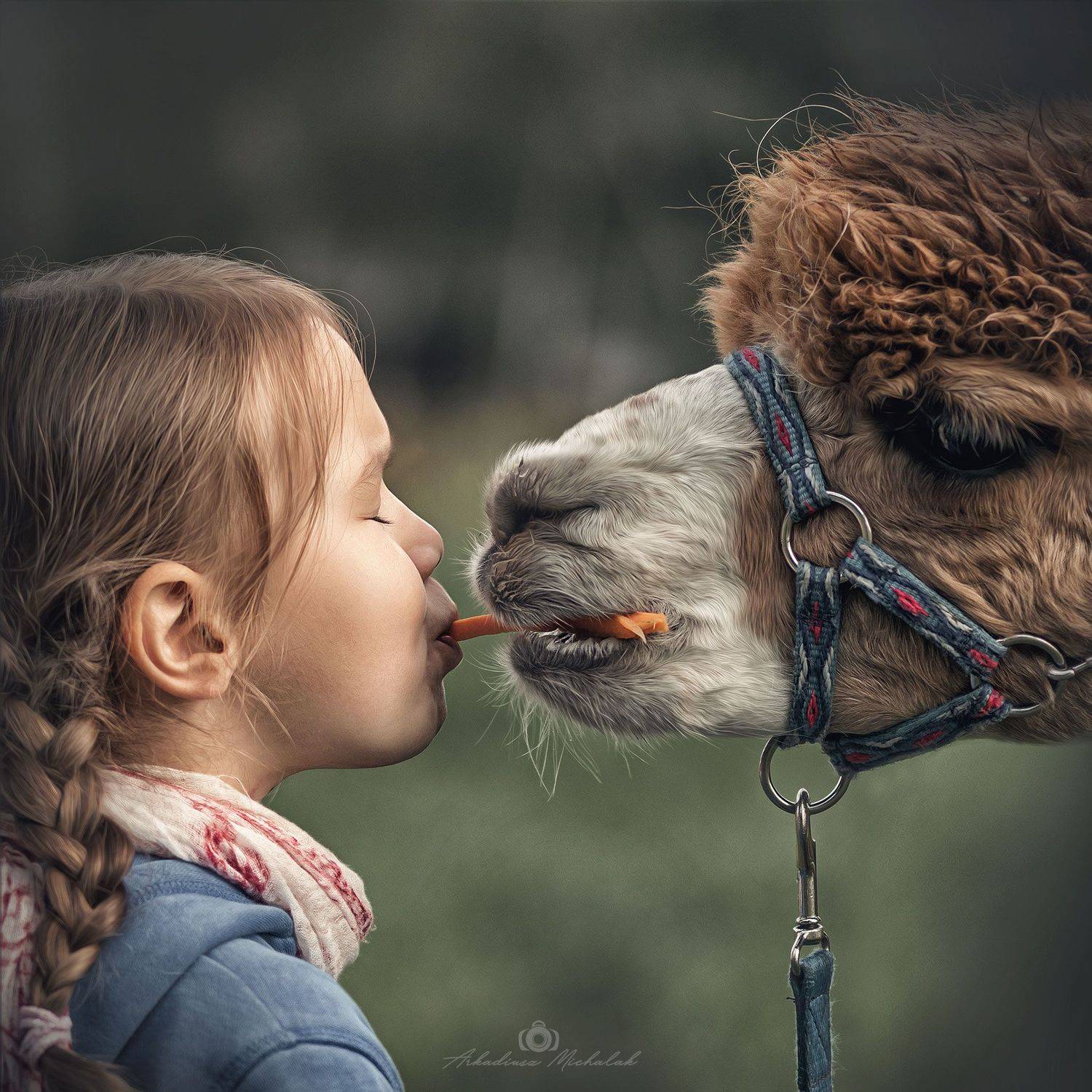 , Arkadiusz Michalak