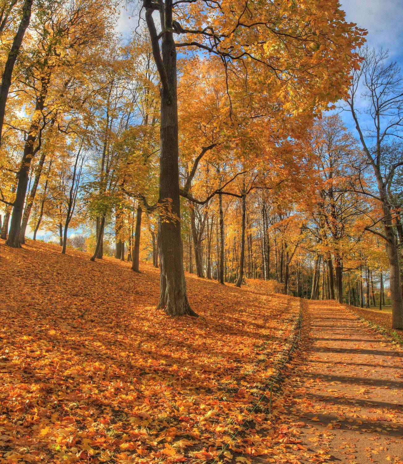 , Сергей Григорьев