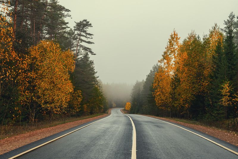 Осень фото превью