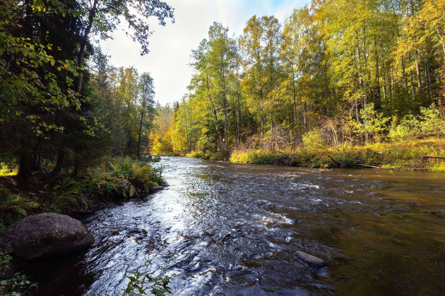 , Алексей Герасимов