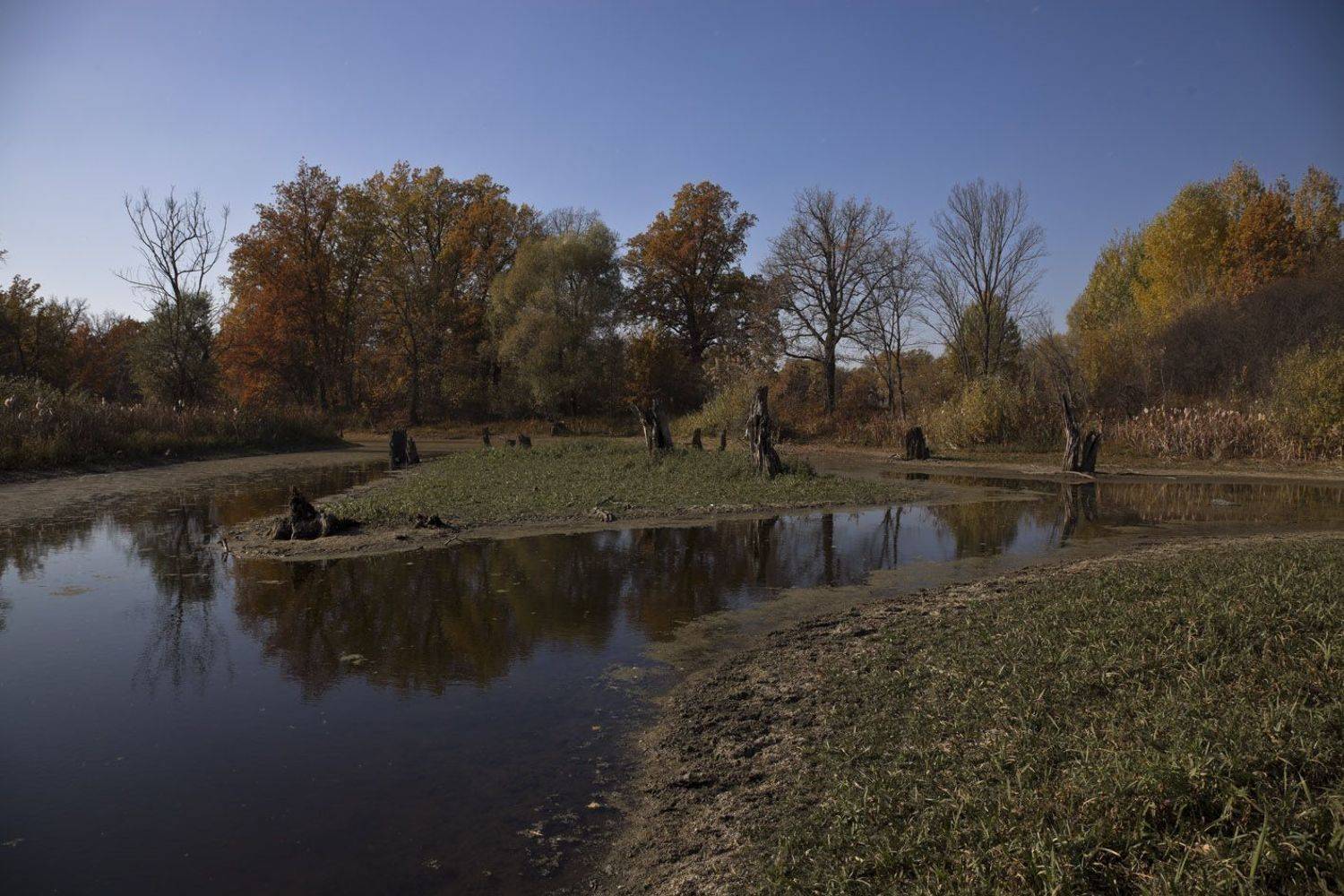 золотая осень, Виктор Кириллов