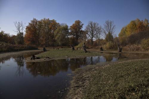 краски осени