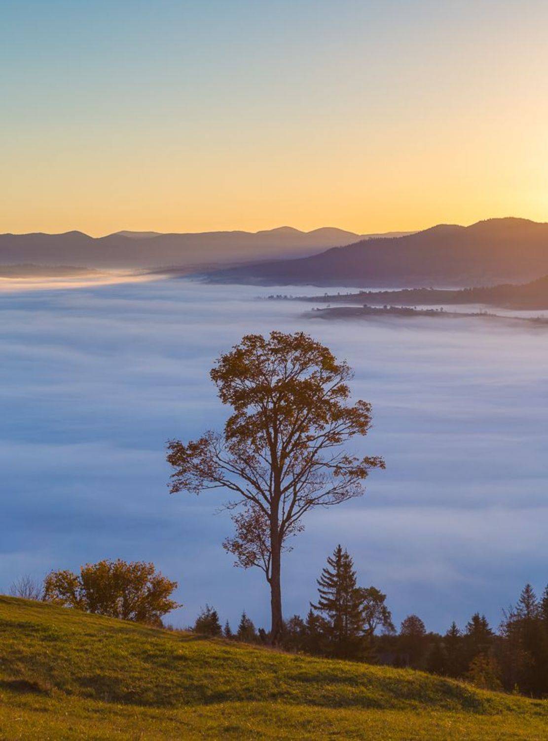 , Александр Подрез