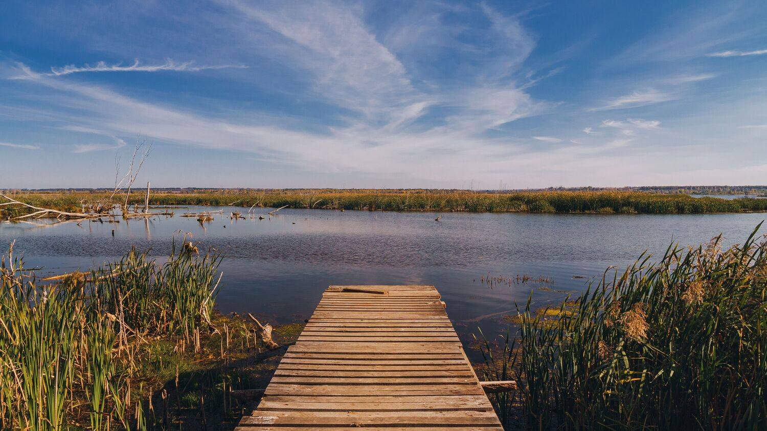 , Юрий Вертиков