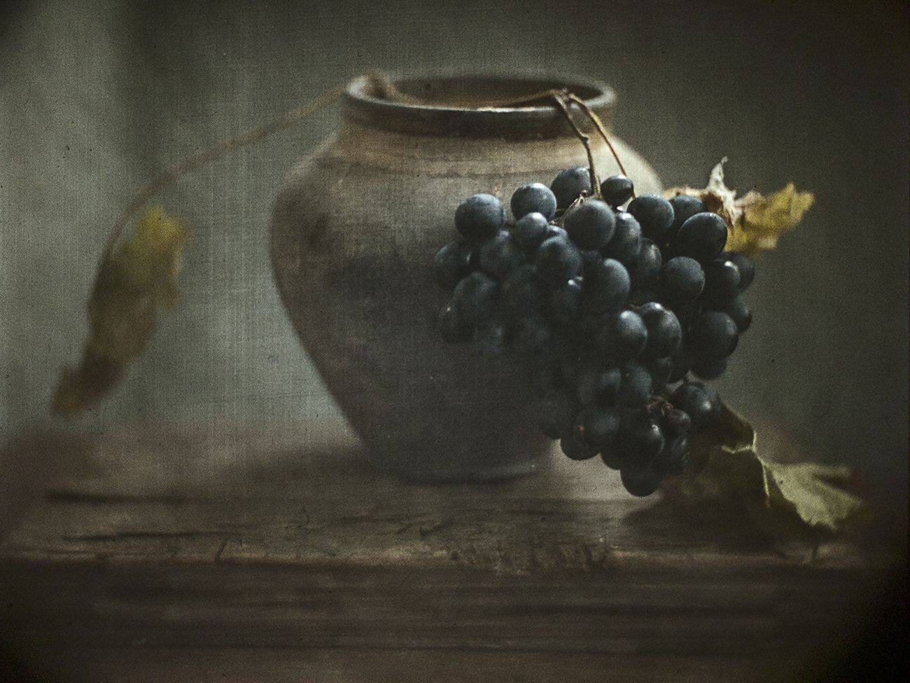 , Татьяна Аверина