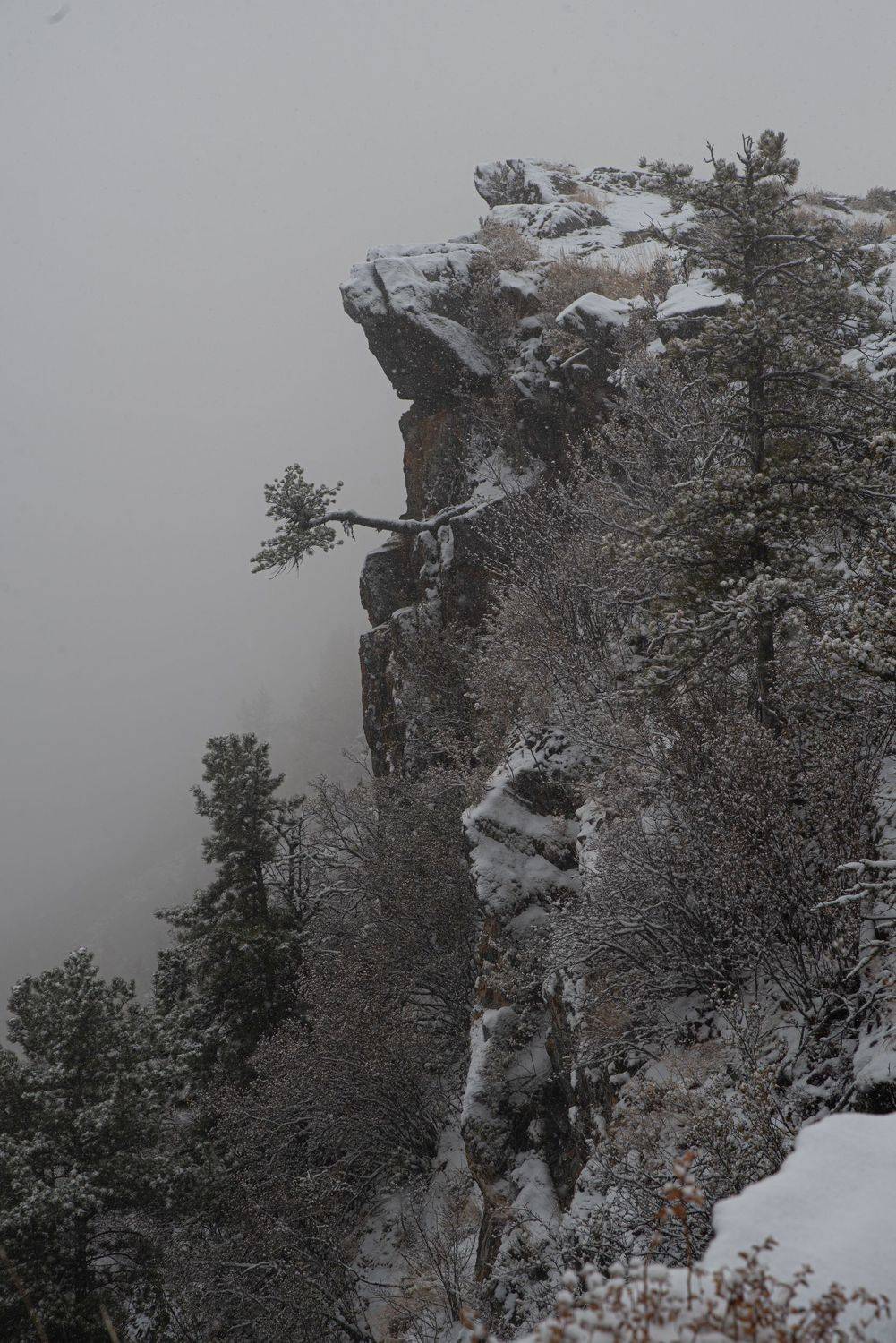 landscape, nature, fog, Aleksei Kurlov