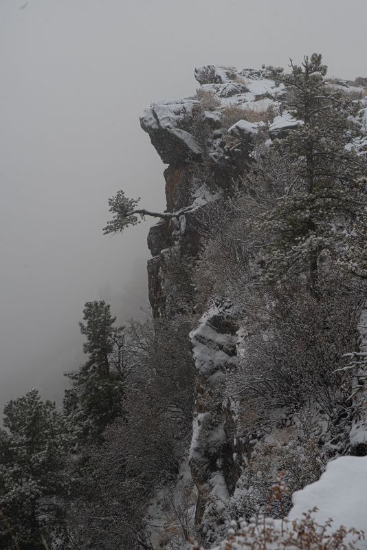 landscape, nature, fog утро на перевале Кату-Ярык, Алтай фото превью