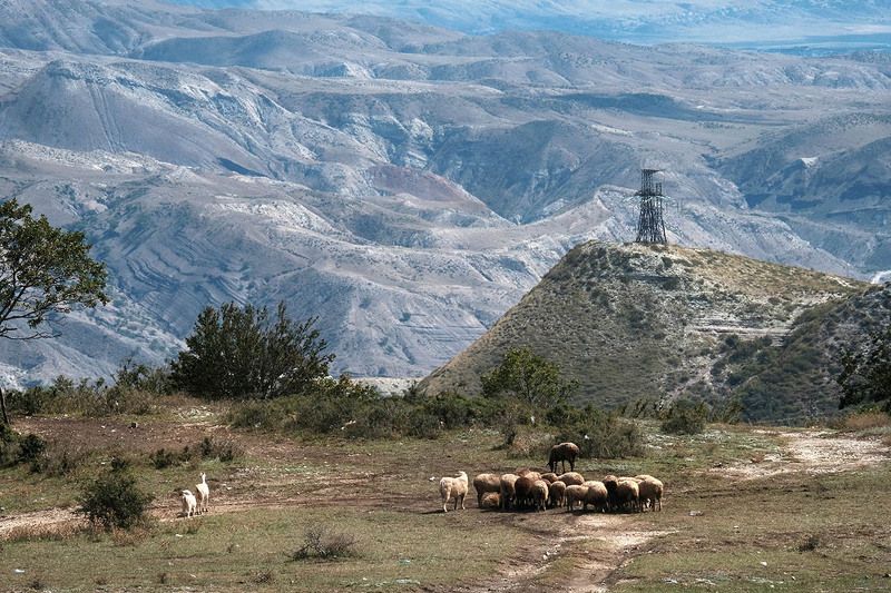 Дагестан *** фото превью