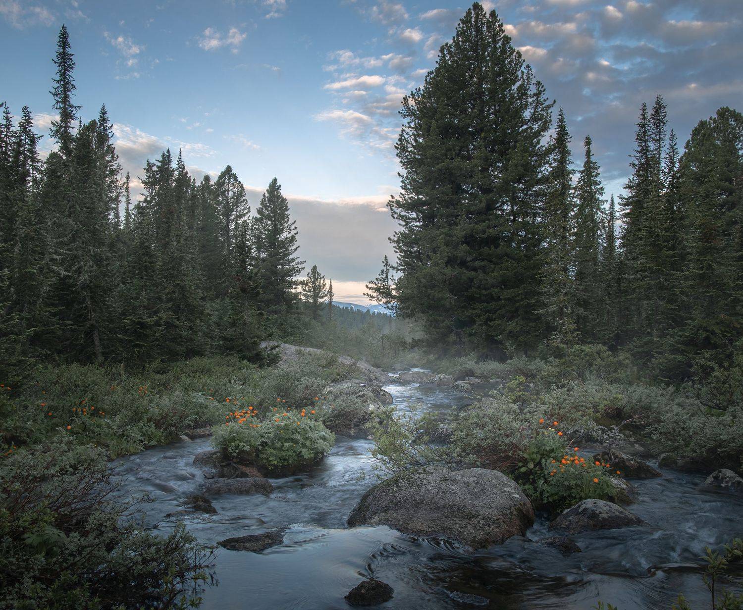 , Юрий Грамаков