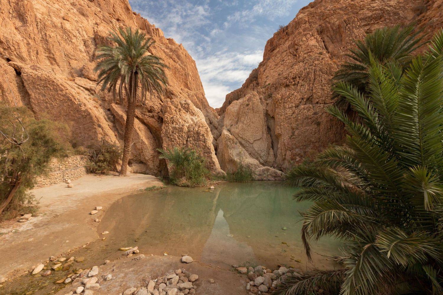 , Александър Сандев