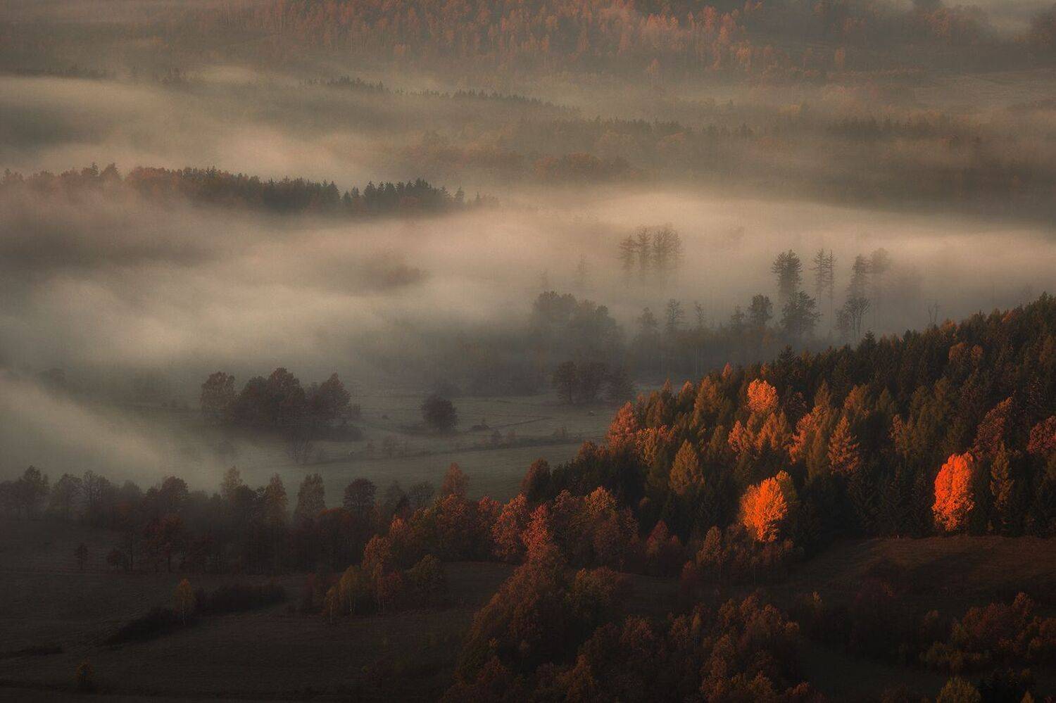 landscape,autumn,mountains,canon, Iza i Darek Mitręga