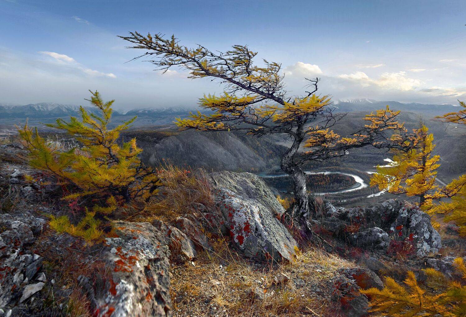 , Светлана Крат