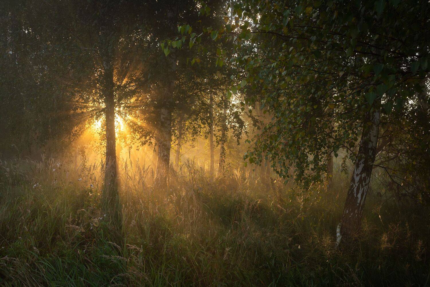 , Дмитрий Захаров