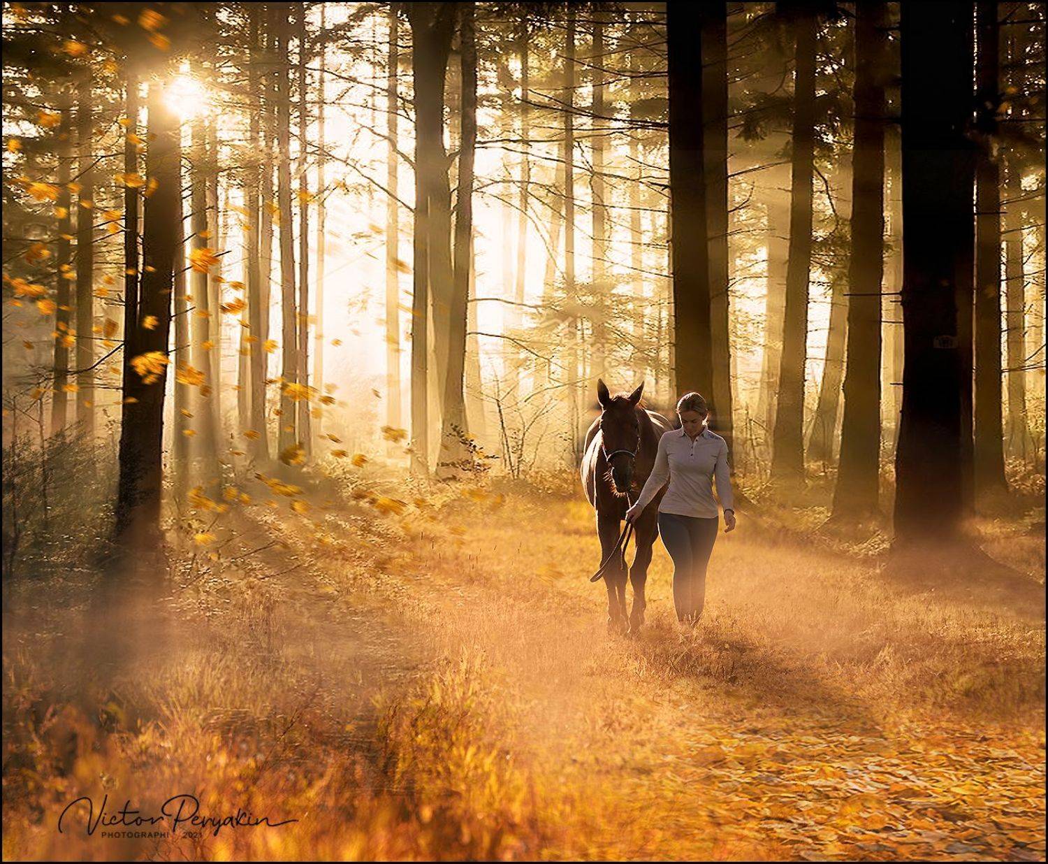 , Виктор Перякин