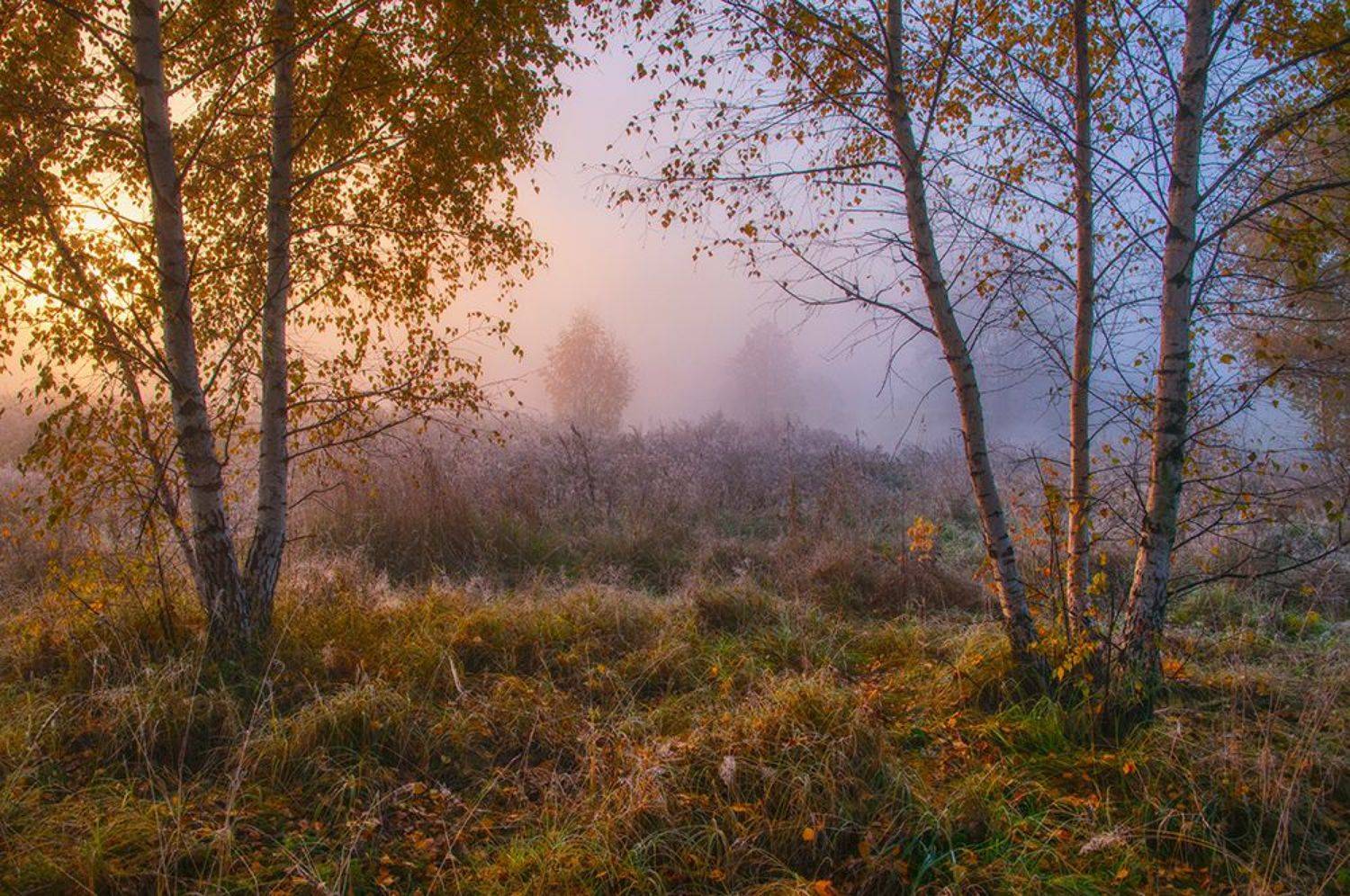 , Ефремов Юрий