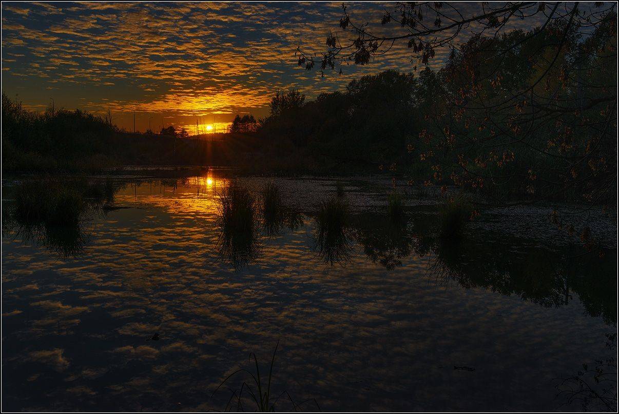 москва, закат солнца, пруд, АНАТОЛИЙ ДОВЫДЕНКО