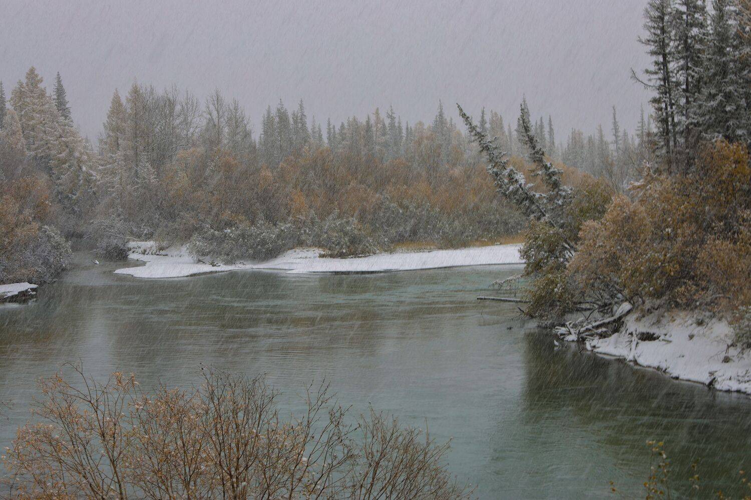 , Константин Буркин