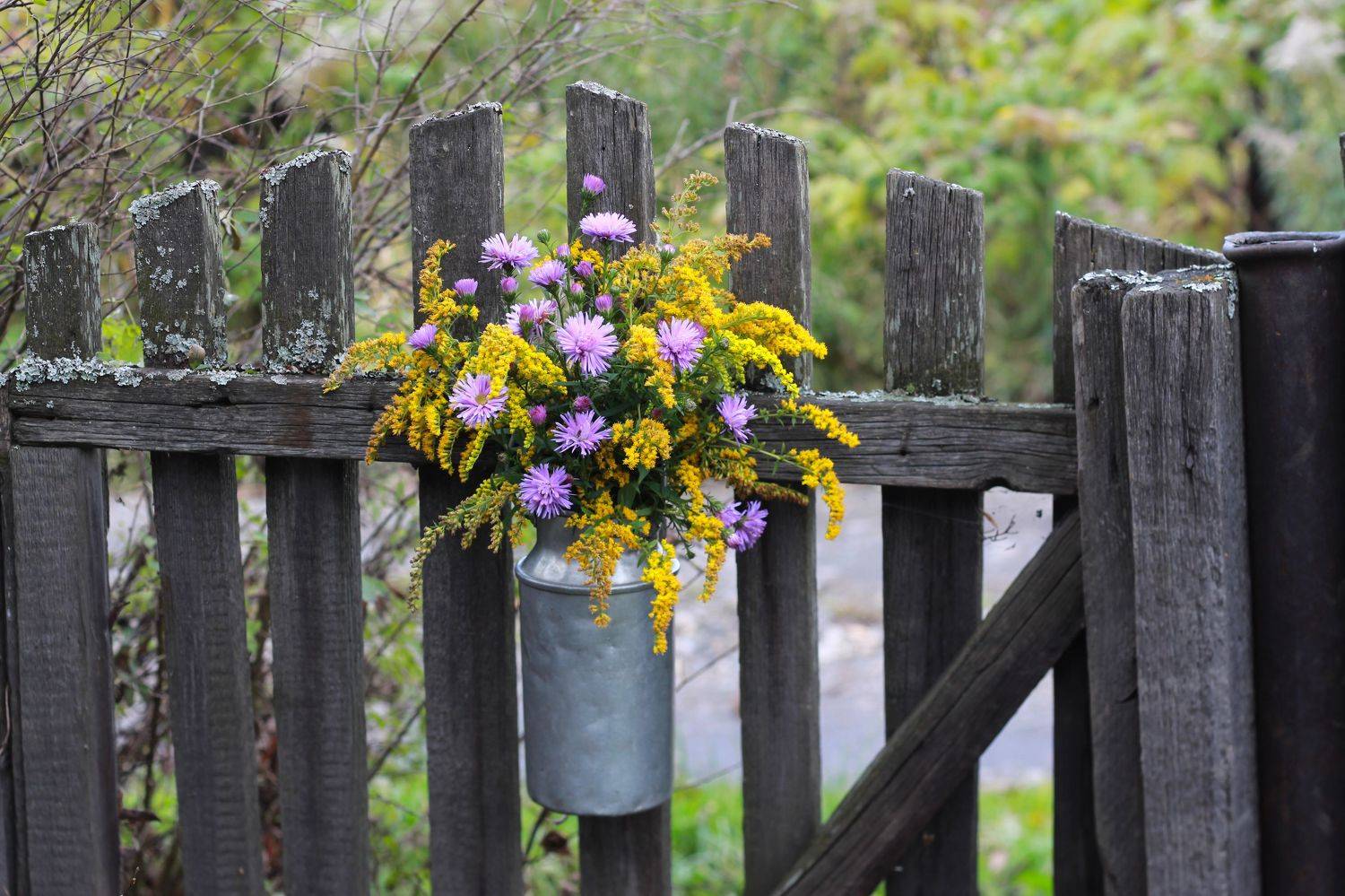 натюрморт, фотонатюрморт, осень, цветы,  наталья казанцева, Наталья Казанцева