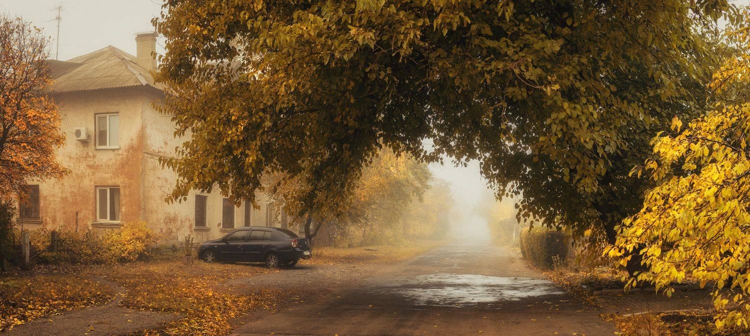 , Игорь Мелекесцев