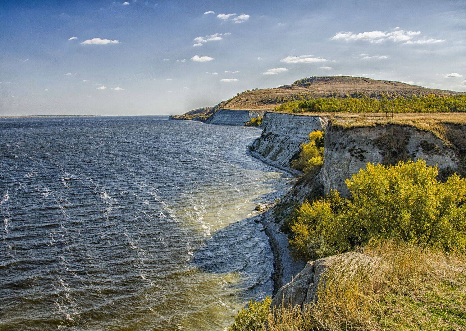 , Александр Березуцкий