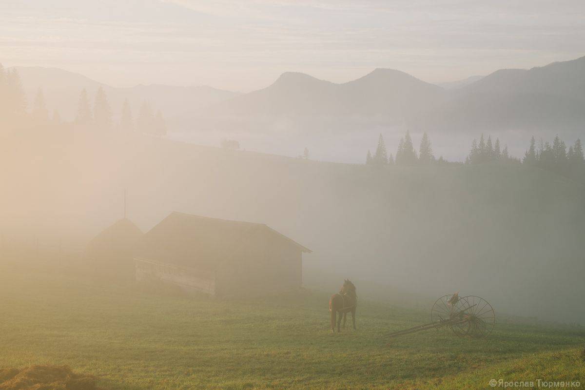 , Ярослав Тюрменко (Jaremi)