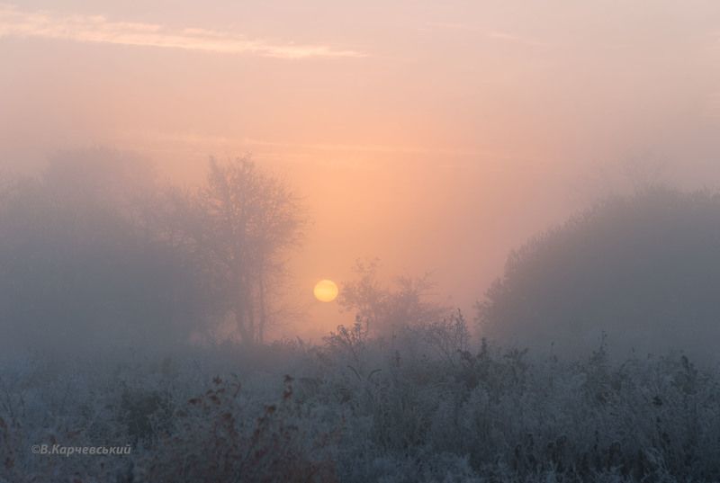 мороз и солнце... фото превью
