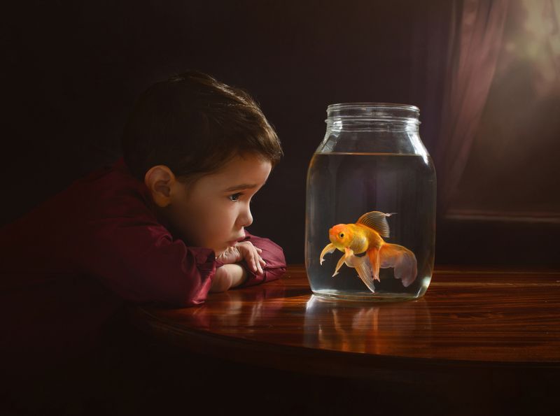 #yanetfotografia Pedrito y su Goldfish. фото превью
