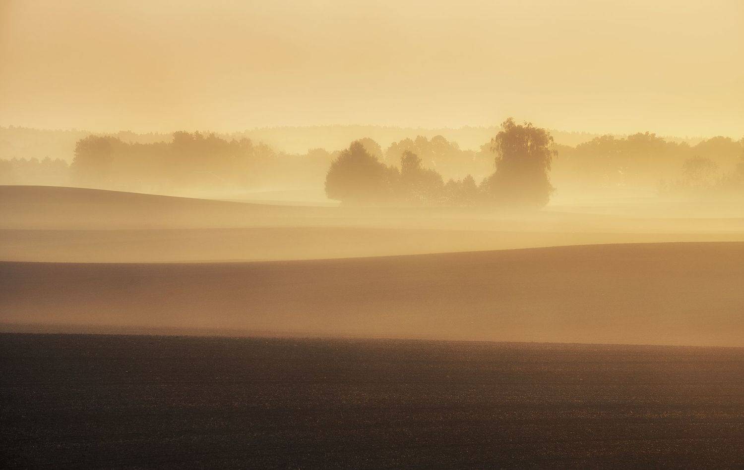 autumn, sky, field, morning, fresh, sunrise, poland, trees, mist, sunlight, Lukasz Zugaj