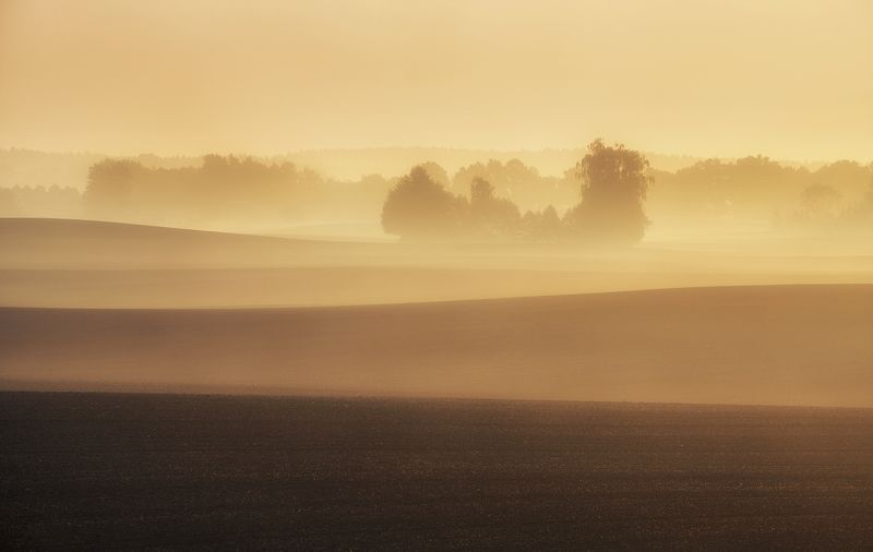 autumn, sky, field, morning, fresh, sunrise, poland, trees, mist, sunlight Autumn фото превью