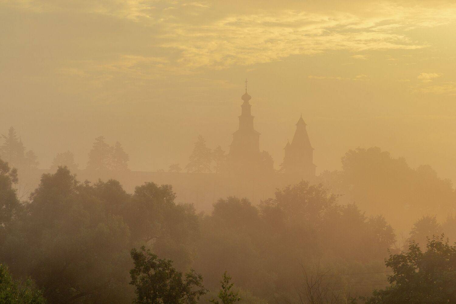 Истра, Елена Гусева