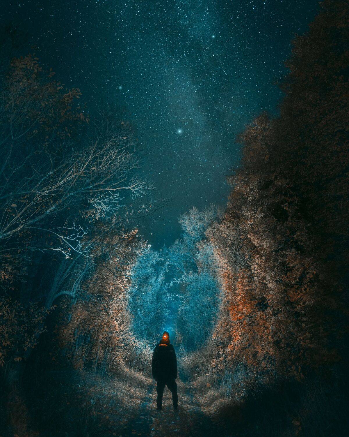 ночь, звезды, дорога, природа, Тульская область, пейзаж, Мартыненко Дмитрий