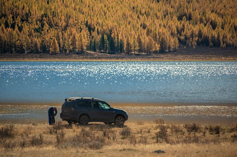 алтай, горный алтай, озеро, блики, осень, лиственницы Улыбка природы… фото превью