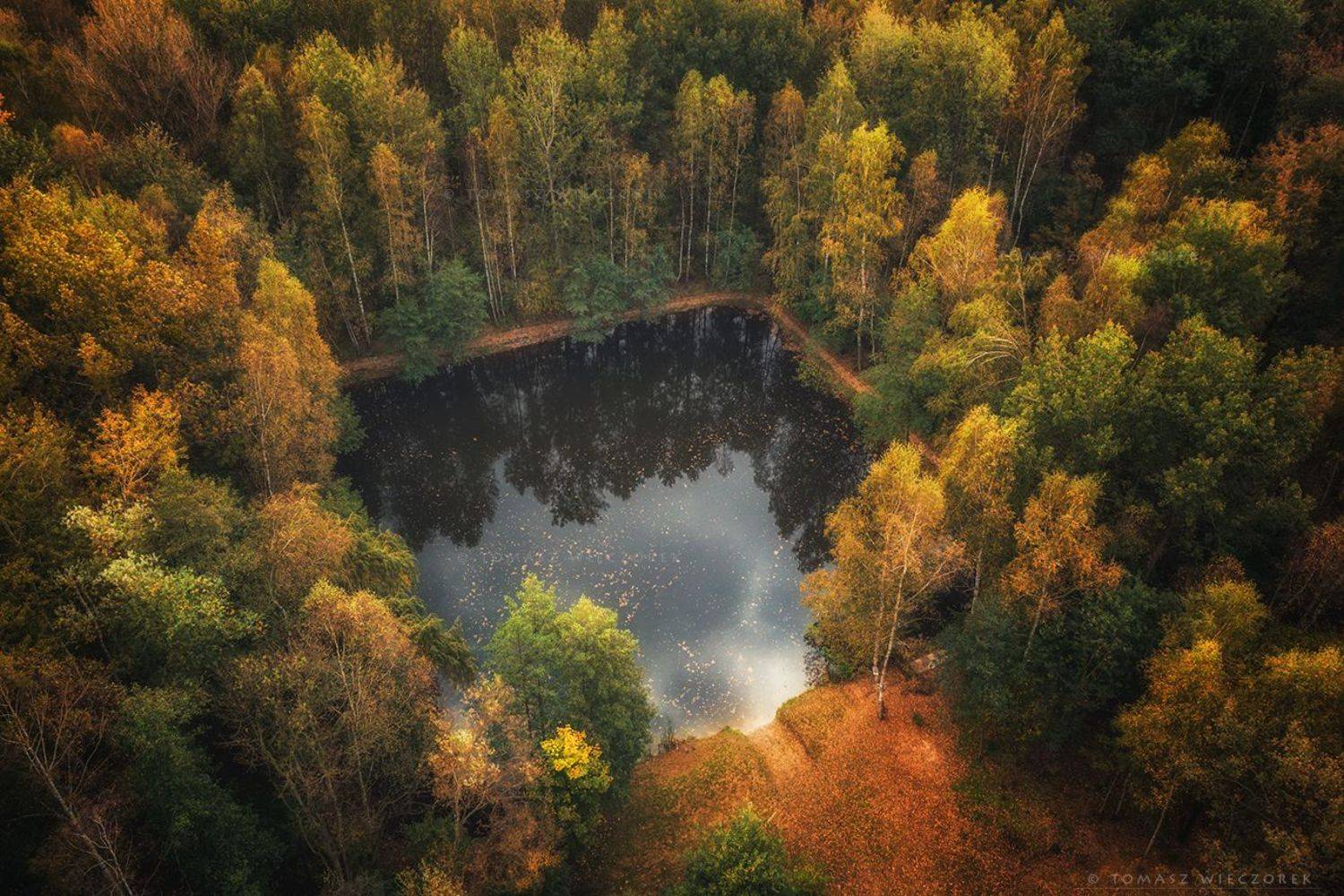 landscape, poland, light, autumn, awesome, amazing, sunrise, sunset, lovely, nature, travel, drone, trees, orange, shadows, dji, forest, square, Tomasz Wieczorek
