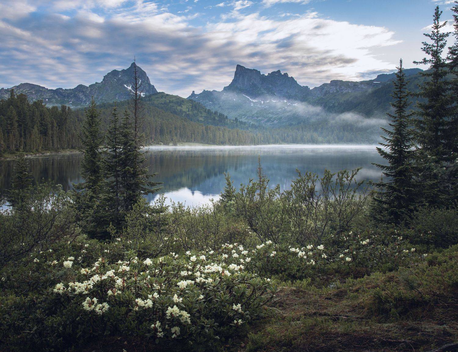 , Юрий Грамаков