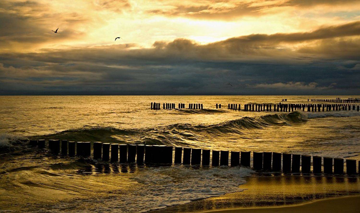 , Franti&scaron;ek Uhler