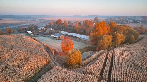 Осеннее Плоское