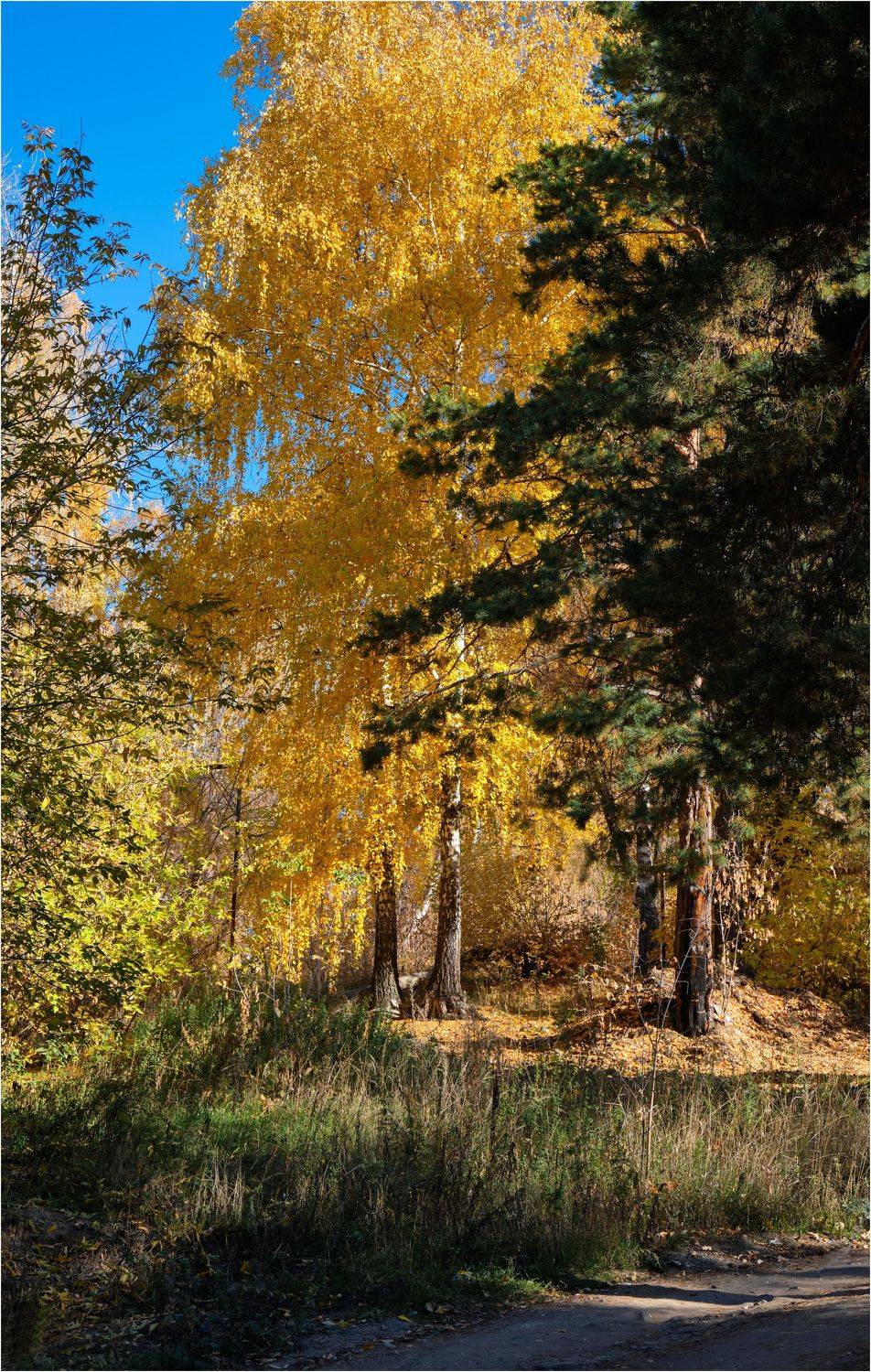 , Владимир Краснов