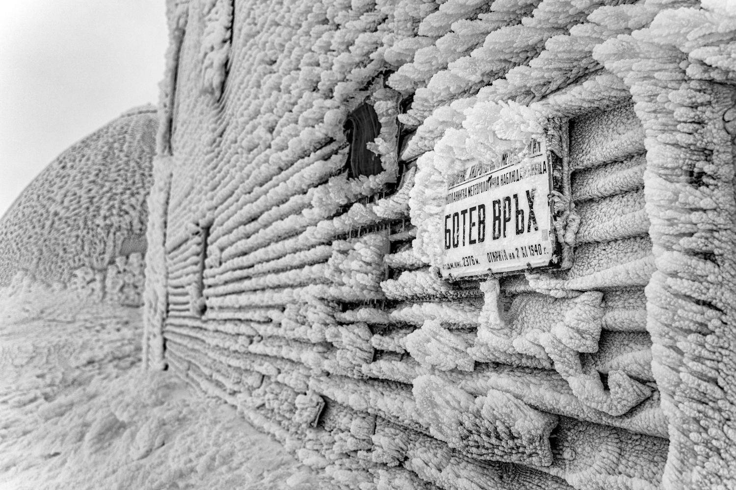 , Пламен Куденко