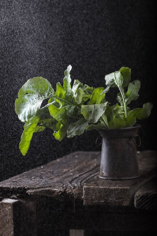 . фото превью