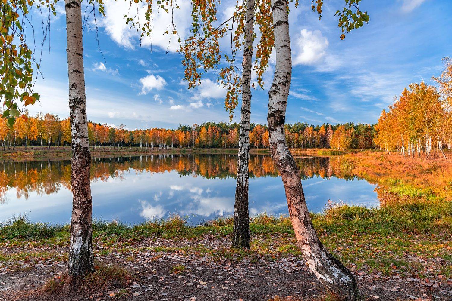 , Руслан Авдевич