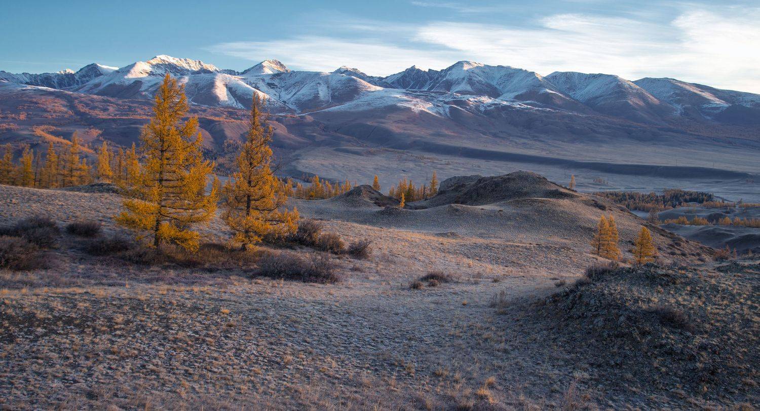 , Андрей Хаймин
