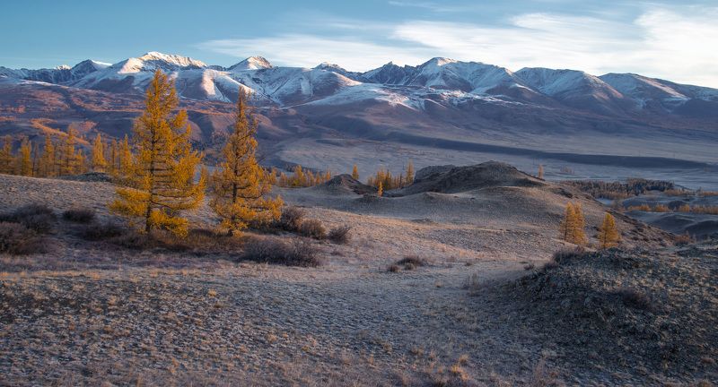 Курайская степь начало октября фото превью