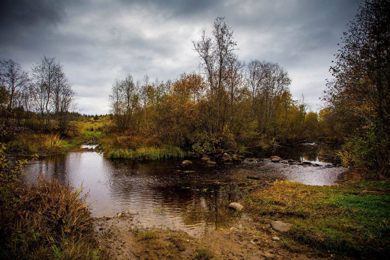 , Андрей Шахов