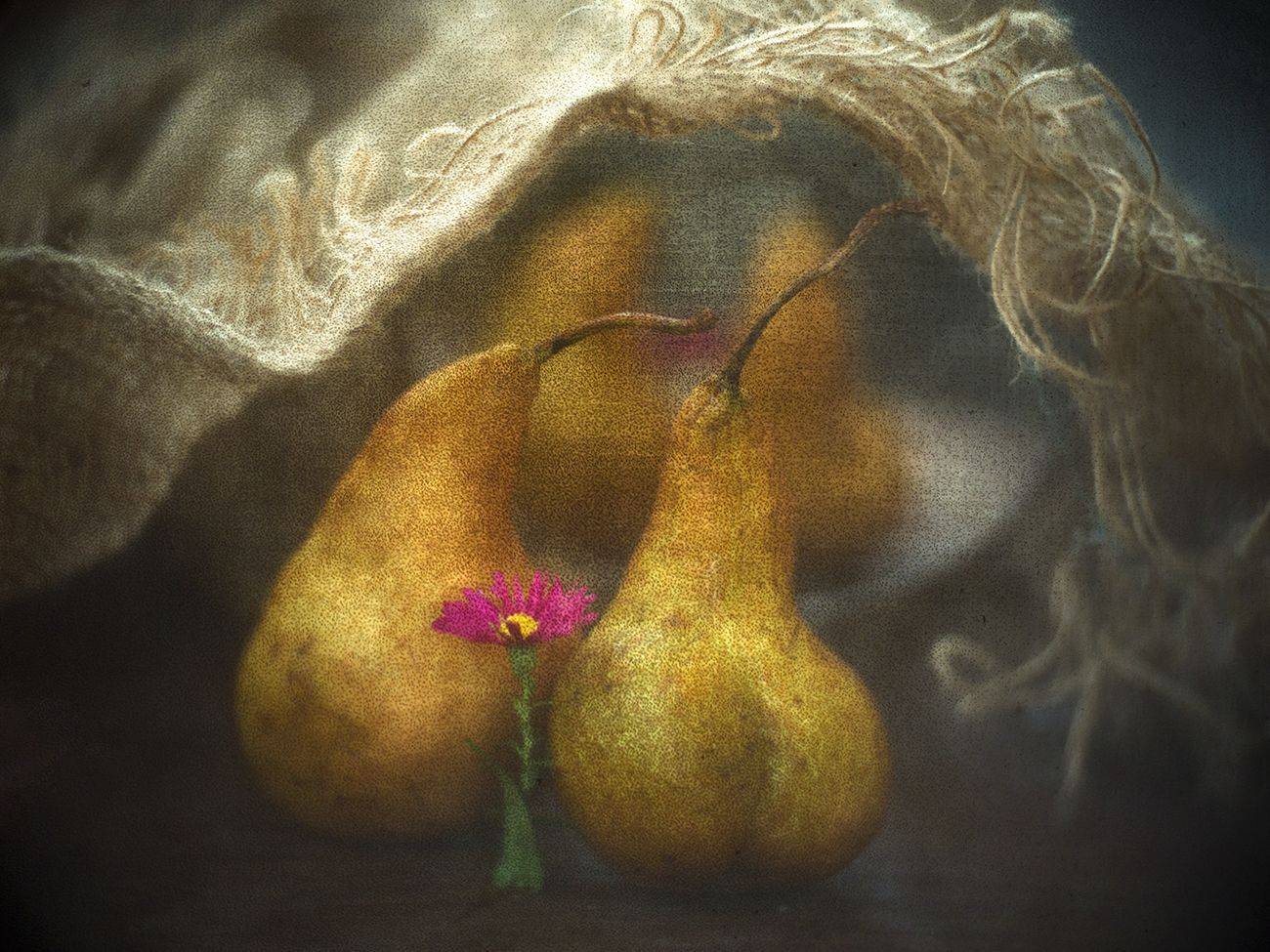 , Татьяна Аверина