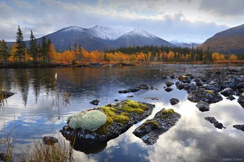 Что такое осень - это камни...