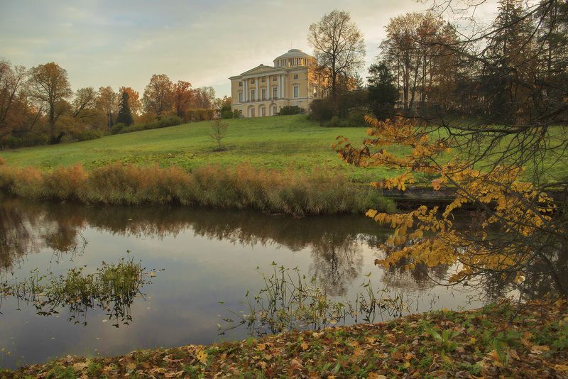 санкт-петербург,павловск,осень осень Павловского парка фото превью